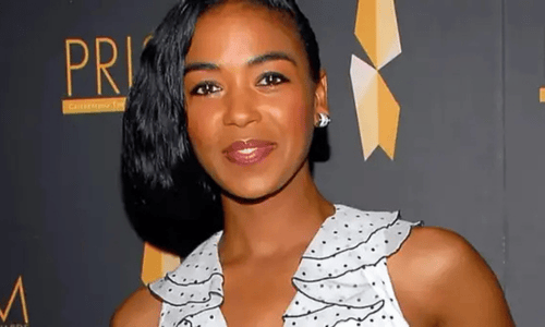 Ananda Lewis honored for her brave breast cancer battle 