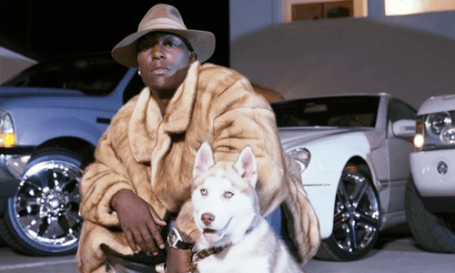 News coverage of Tyrese Gibson’s arrest following dog attack incident involving neighbor’s pet.