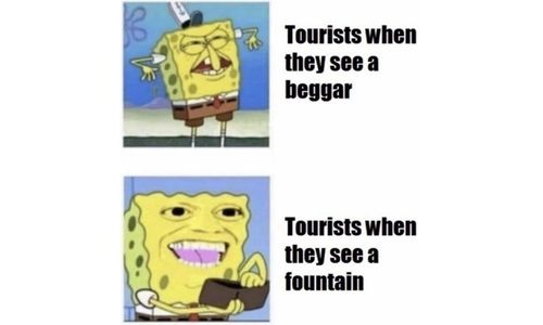 Meme joking about misplaced empathy and prioritizing aesthetics over understanding.