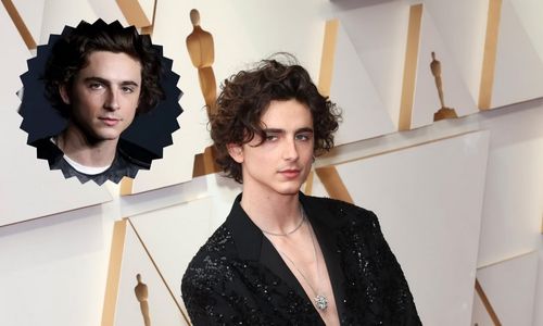 Timothée Chalamet menswear look featuring jewel tones and experimental tailoring.
