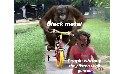 Meme about someone claiming they listen to all music genres until their playlist gets judged