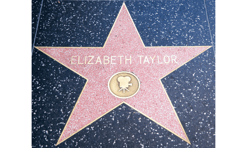 A close-up view of elizabeth taylor  star on the Hollywood Walk of Fame.