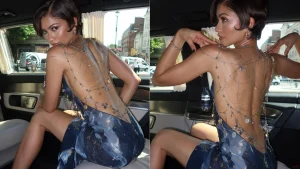 Zendaya 30th Birthday Celebration Secrets You Missed