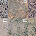 Angelina Jolie Tells Followers to See Gaza on Google Earth